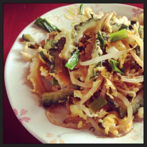 goya insta red chair