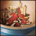 tougan insta mushroom