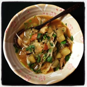 tougan insta soup arial