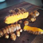 turmeric