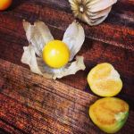 ground cherry salsa cherries